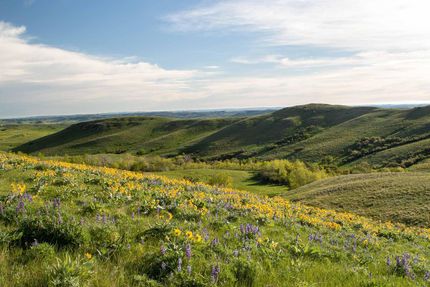 Property in Sheridan County, Wyoming