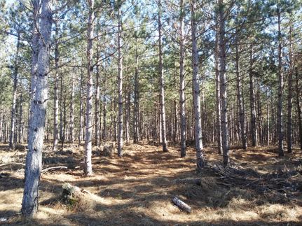 Property in Juneau County, Wisconsin