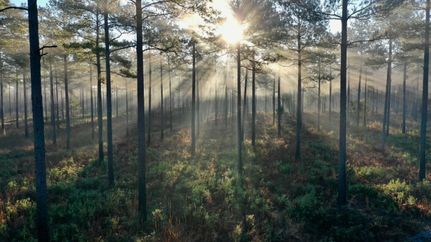 Property in Georgetown County, South Carolina