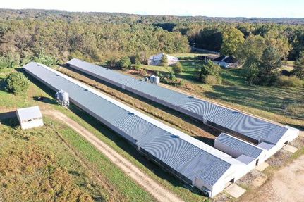 Property in Marion County, Alabama