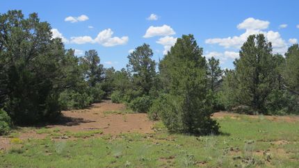 Property in Las Animas County, Colorado