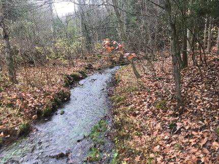 Property in Jefferson County, Pennsylvania