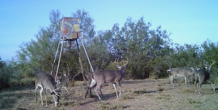 Property in Dimmit County, Texas