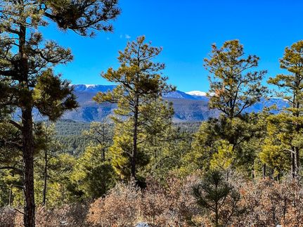 Property in San Miguel County, New Mexico