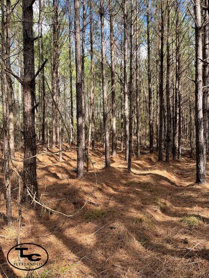 Property in Washington County, Alabama