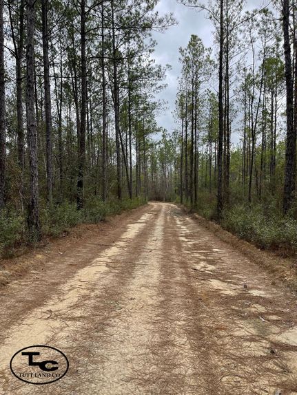 Property in Washington County, Alabama