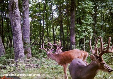Property in Cooper County, Missouri