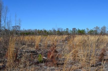 Property in Laurens County, Georgia