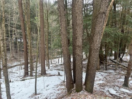 Property in Warren County, Pennsylvania