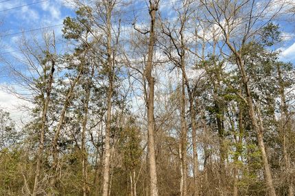 Property in Tyler County, Texas