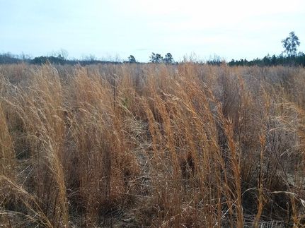 Property in Lunenburg County, Virginia