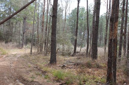 Property in San Jacinto County, Texas