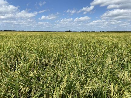 Property in Lawrence County, Arkansas