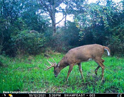 Property in LaPorte County, Indiana