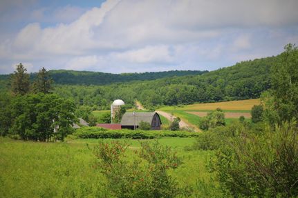 Property in Steuben County, New York