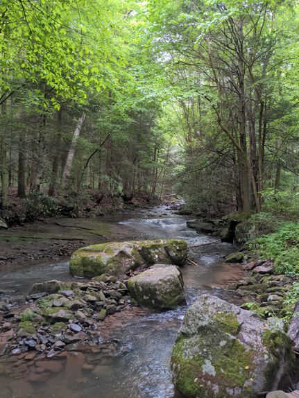 Property in Garrett County, Maryland