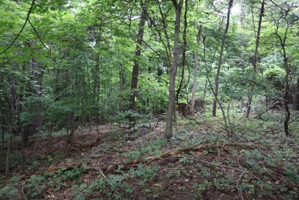 Property in Saratoga County, New York