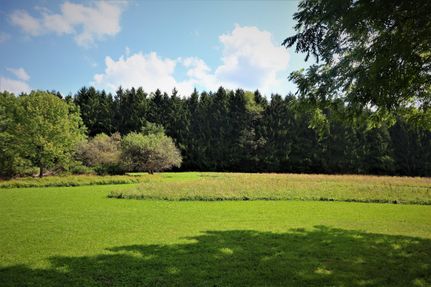 Property in Cattaraugus County, New York