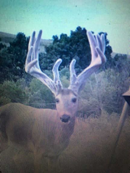 Property in Cowley County, Kansas