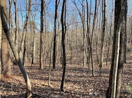 Property in Alexander County, North Carolina