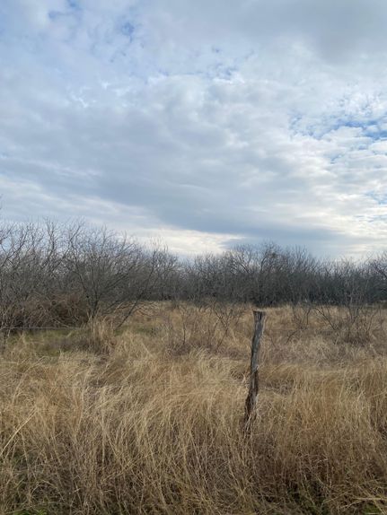 Property in Caldwell County, Texas
