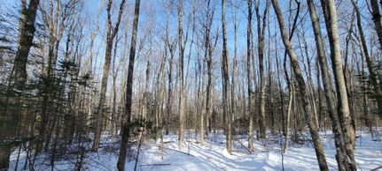 Property in Kennebec County, Maine