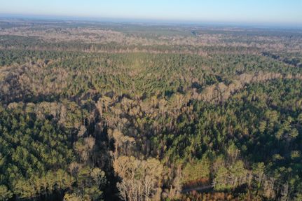 Property in Saint Helena Parish, Louisiana