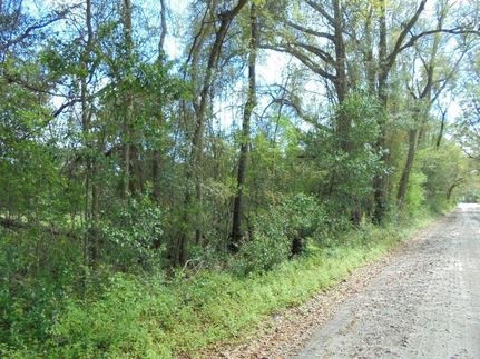 Property in Suwannee County, Florida