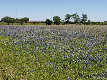 Property in McLennan County, Texas