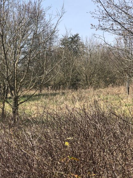 Property in Hancock County, Tennessee