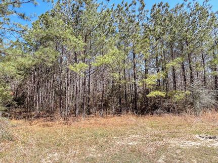 Property in Newton County, Texas