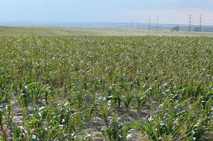 Property in Arapahoe County, Colorado