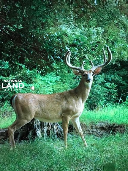 Property in Yazoo County, Mississippi