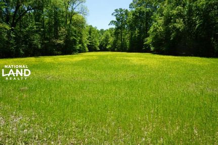 Property in Sumter County, Alabama