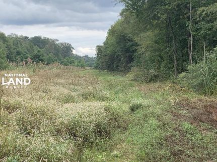 Property in Jackson Parish, Louisiana