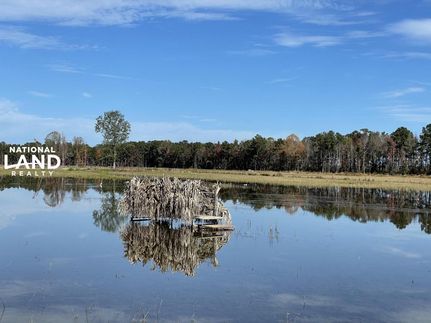 Property in Berkeley County, South Carolina