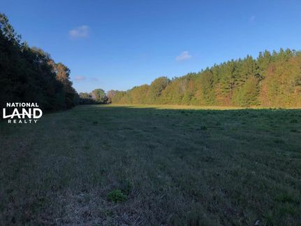 Property in Lawrence County, Alabama