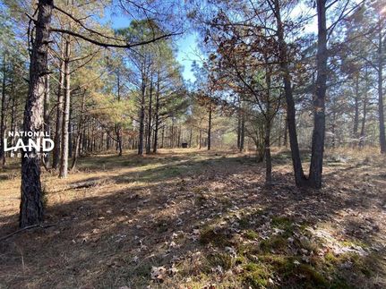 Property in Lamar County, Alabama