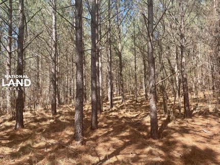 Property in Marion County, Alabama