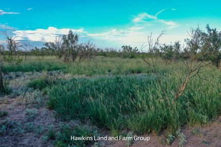 Property in Upton County, Texas