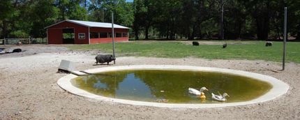 Property in Putnam County, Florida