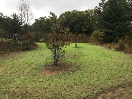 Property in Manistee County, Michigan