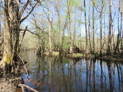 Property in Cumberland County, North Carolina