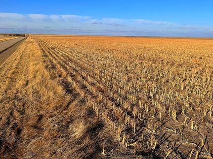 Property in Ness County, Kansas