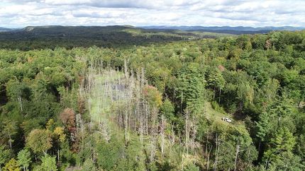 Property in Washington County, New York