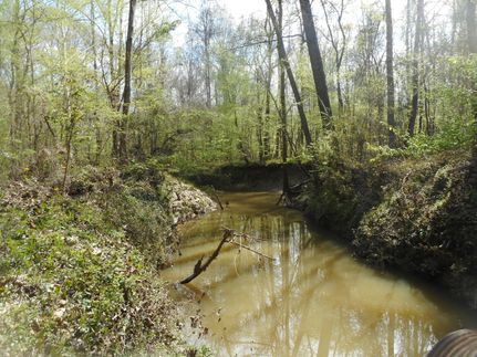 Property in Rankin County, Mississippi