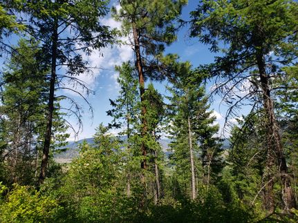 Property in Ferry County, Washington