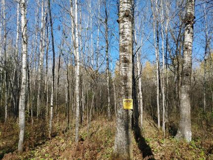 Property in Douglas County, Wisconsin