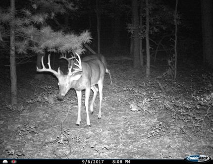 Property in Juneau County, Wisconsin