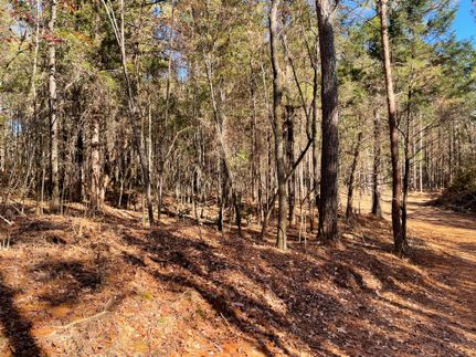 Property in Shelby County, Alabama